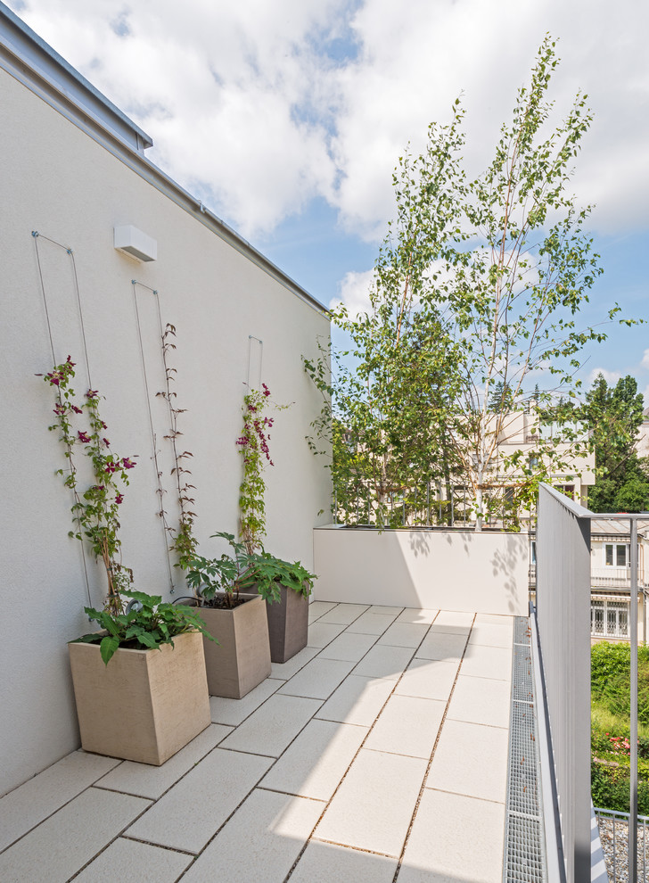 Dachterrasse auf dem Dach mit Kübelpflanzen