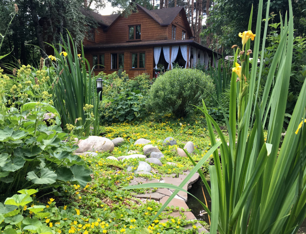 Белкин сад. Лето 2019