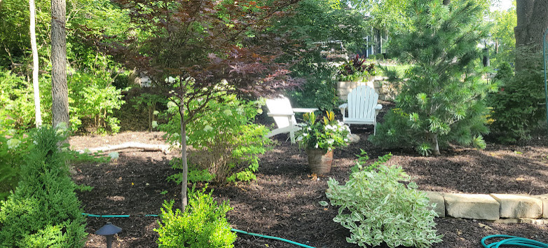 Woodland Restoration