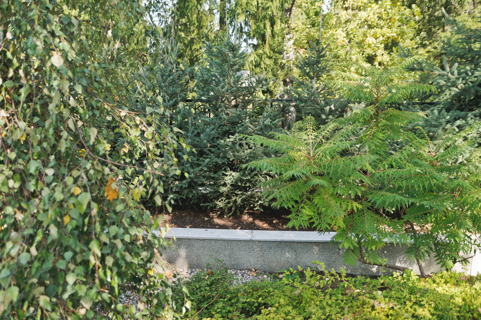 Маленький сад перед таунхаусом