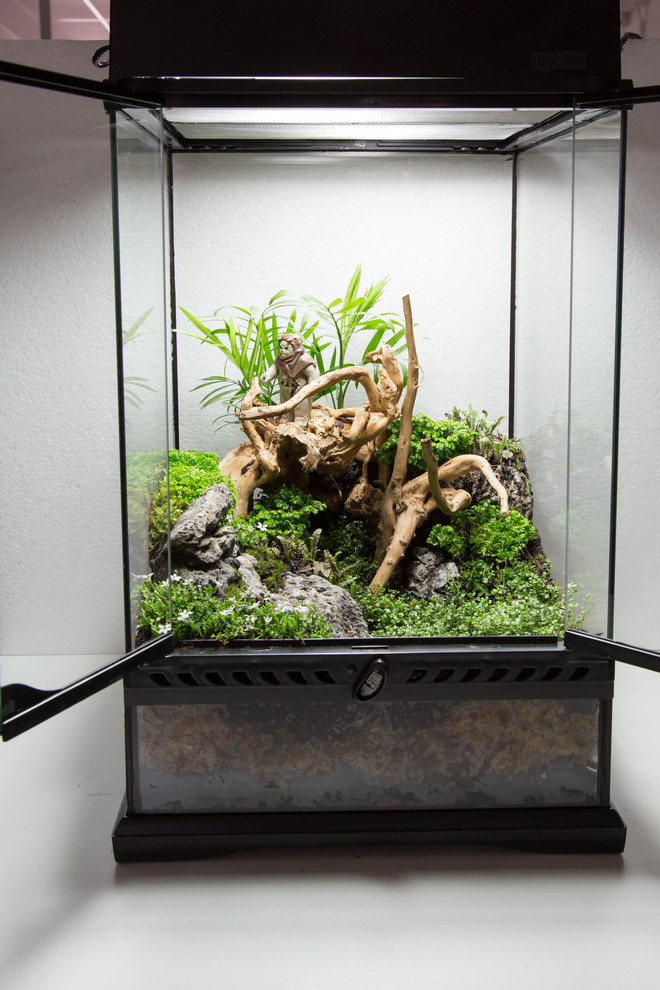 The Force Awakens in a Series of Terrariums