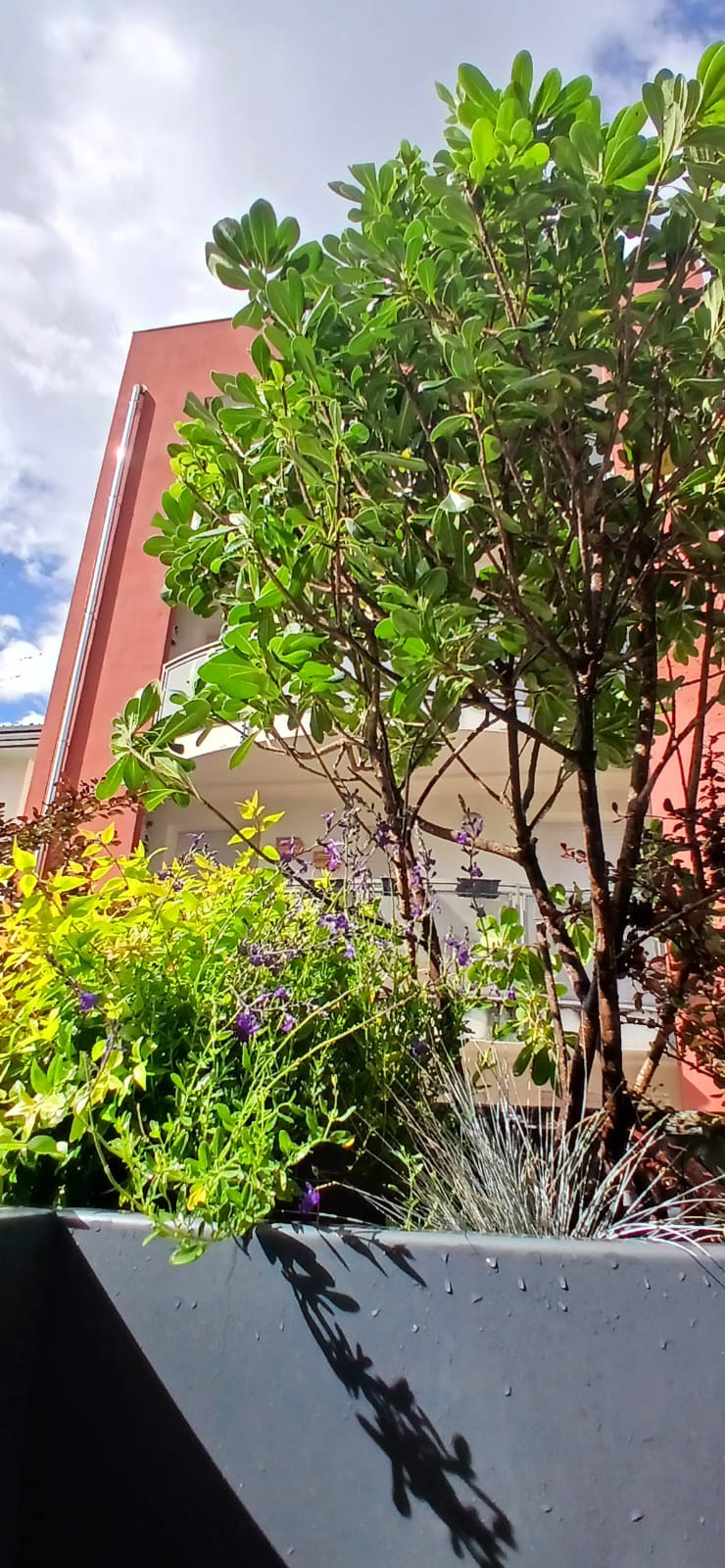 Realizzazione Terrazza dai sapori mediterranei