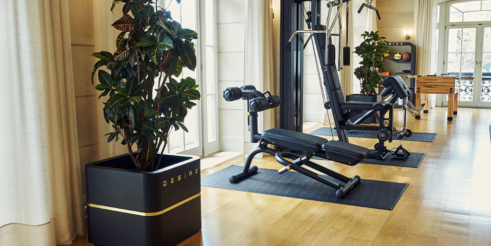 Мультистанция, скамья для пресса, скамья для спины, прямая лавка и силовая рама