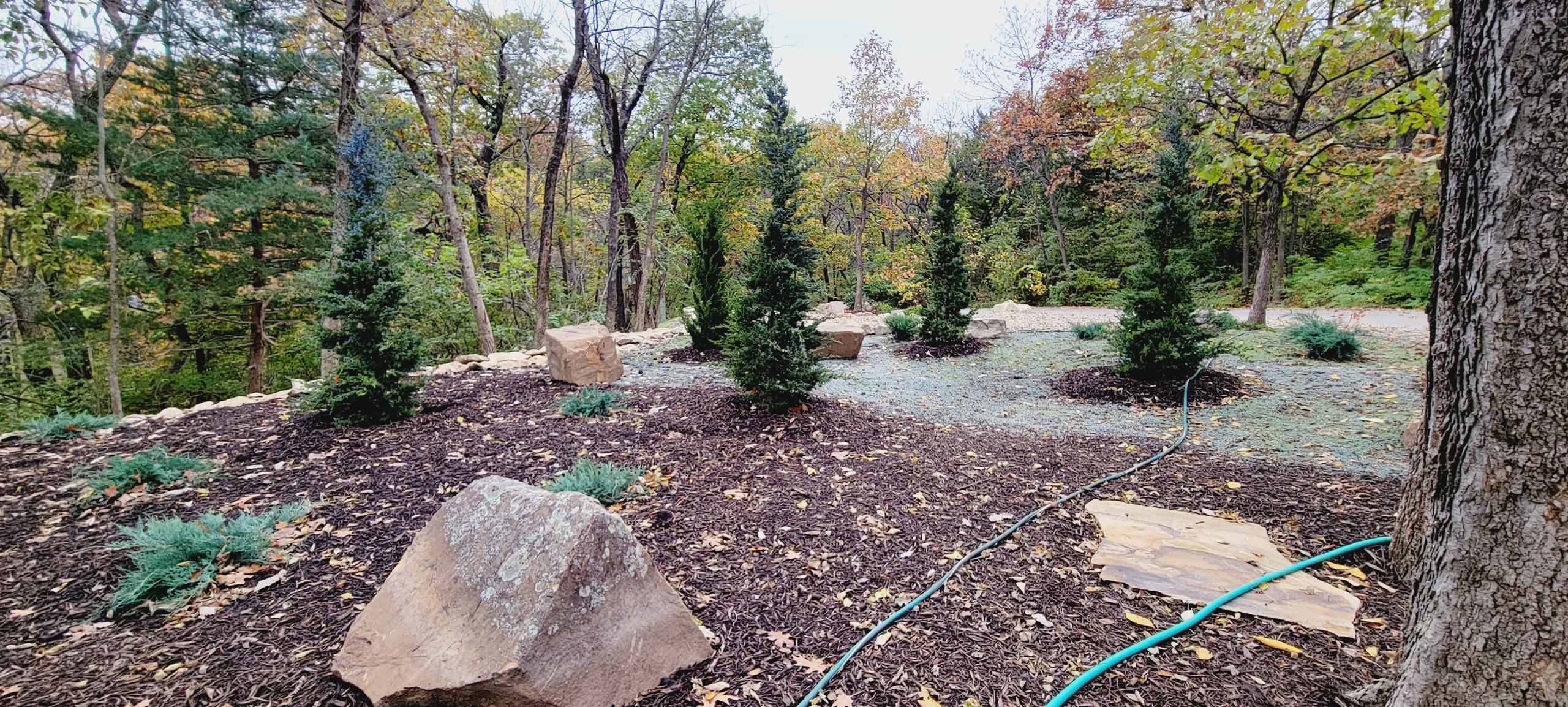 Woodland Restoration