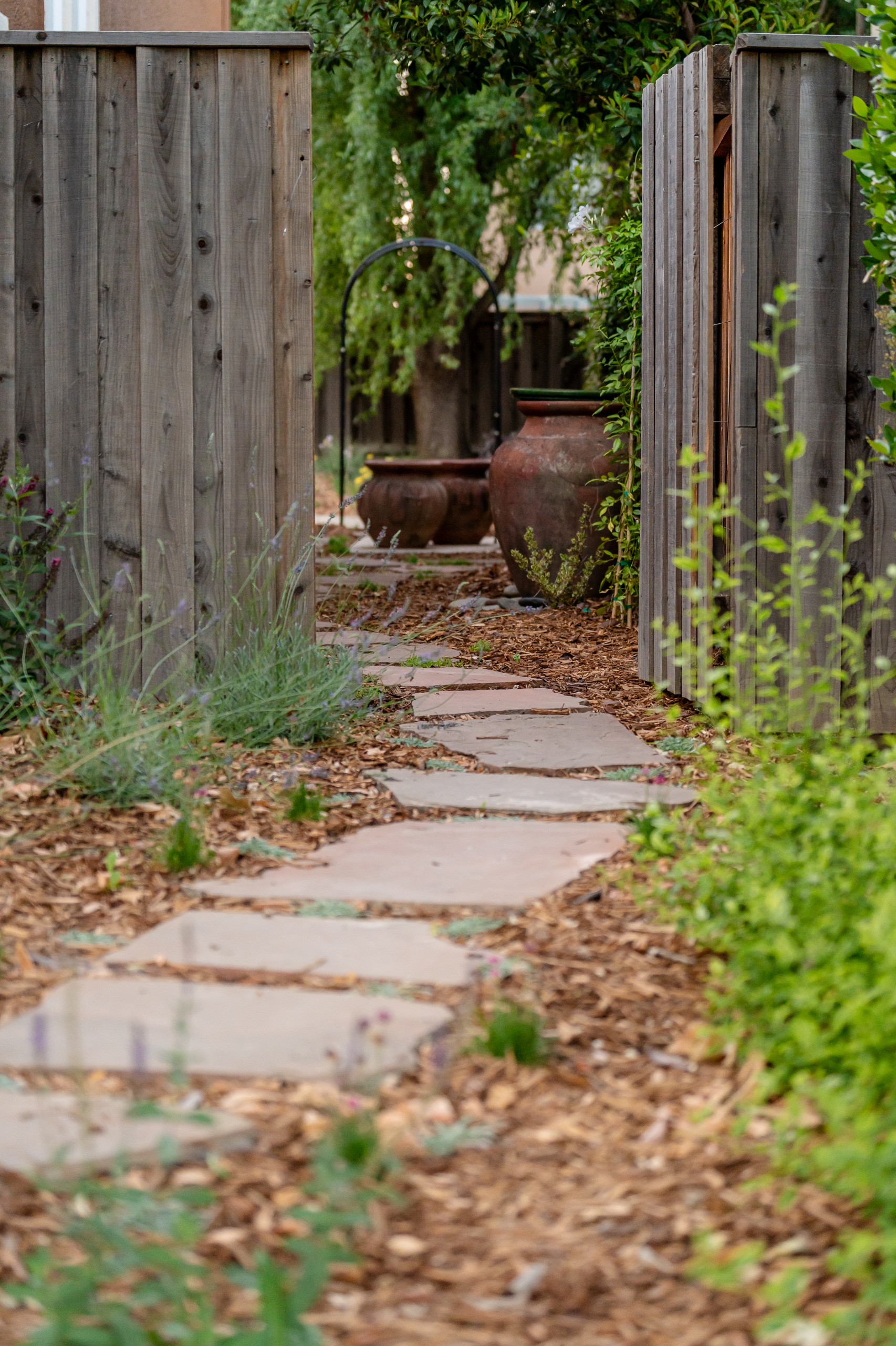 Curated Outdoor Living: Front, Back & Side Yard Design