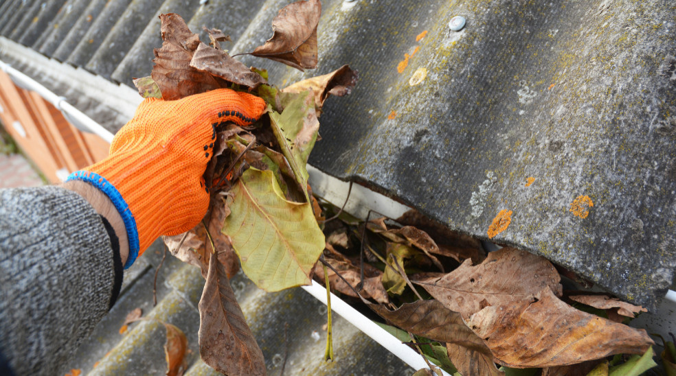 cleaning roof gutter