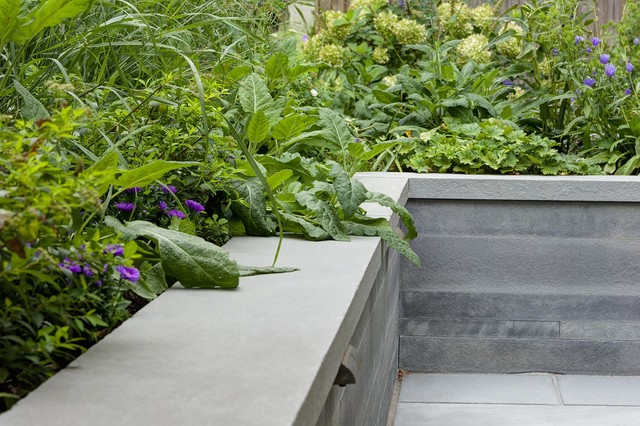 Brookline Modern Front Yard traditional-garden