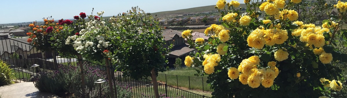 Gove Landscape Construction El Dorado Hills Ca Us 95762 Gove Landscape Construction