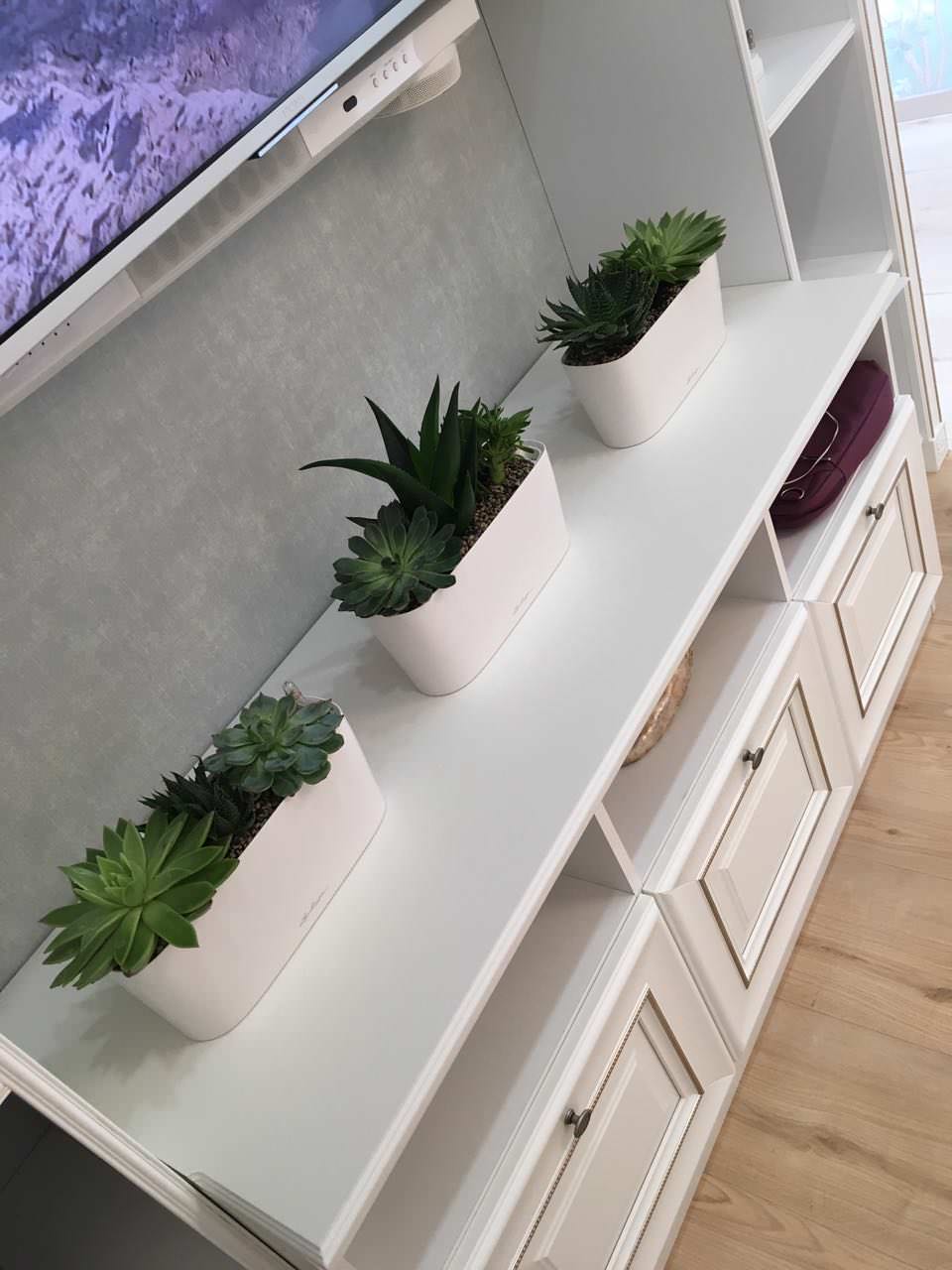 Озеленение частных квартир