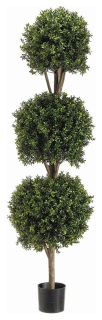 5' Triple Ball-Shaped 2 Tone Boxwood Topiary in Plastic Pot