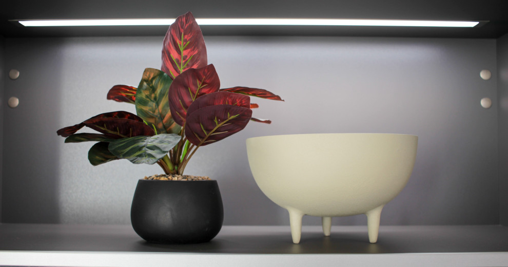 The Showroom