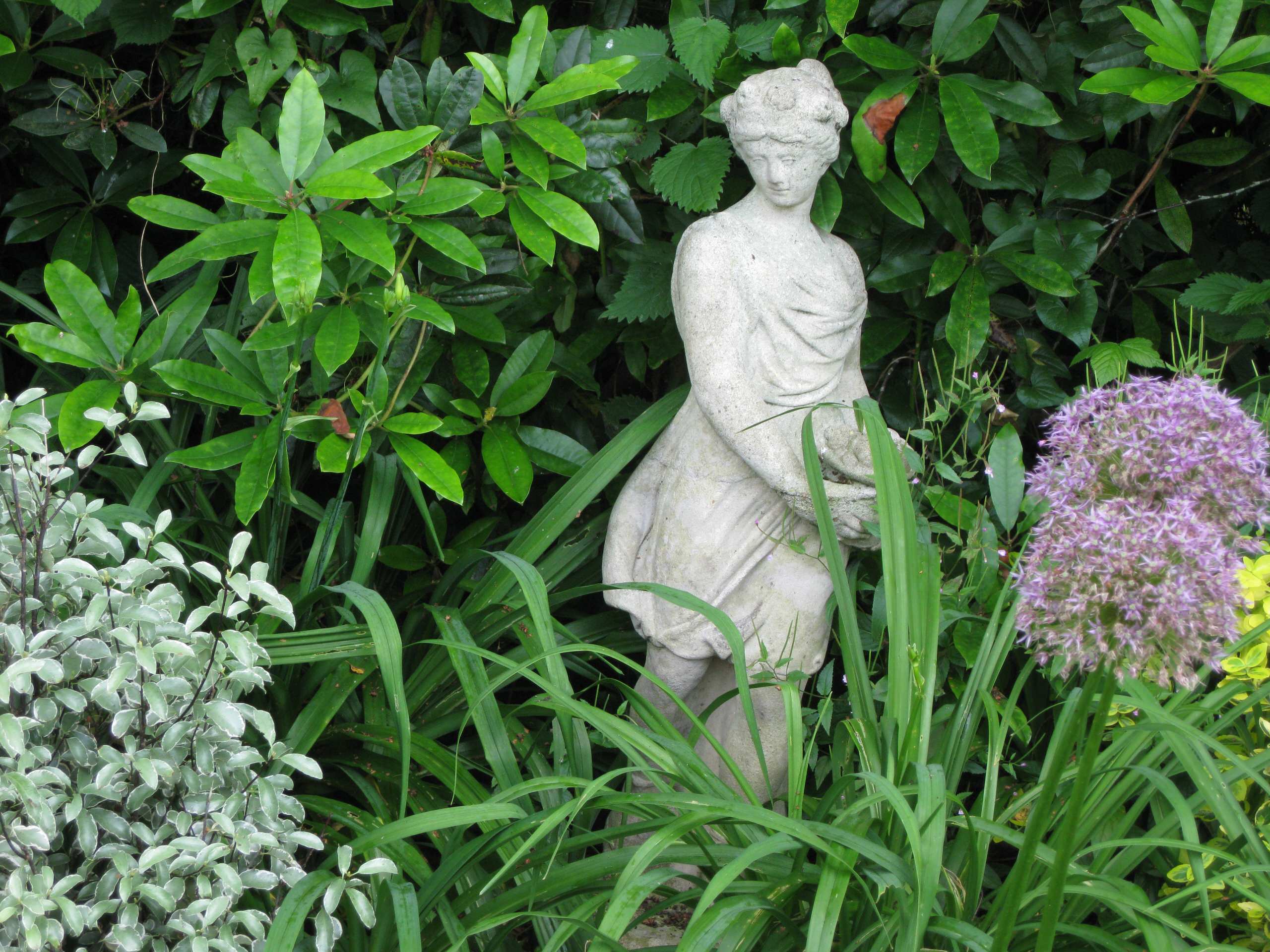 Glimpses Of Gardens