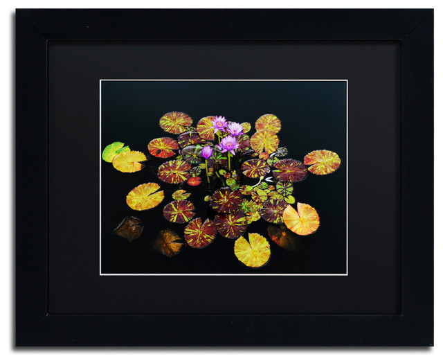 Clematis and Lily by Kurt Shaffer Black Frame 11x14-Inch Clematis and Lily by Kurt Shaffer Black Frame 11x14-Inch