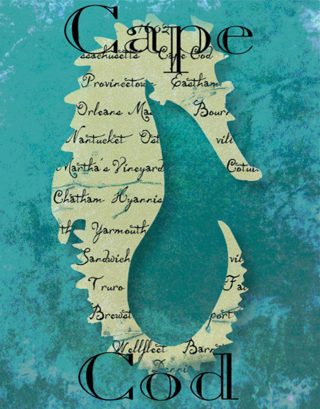 Cape Cod Cape Cod Seahorse Graphic Art on Wrapped Canvas