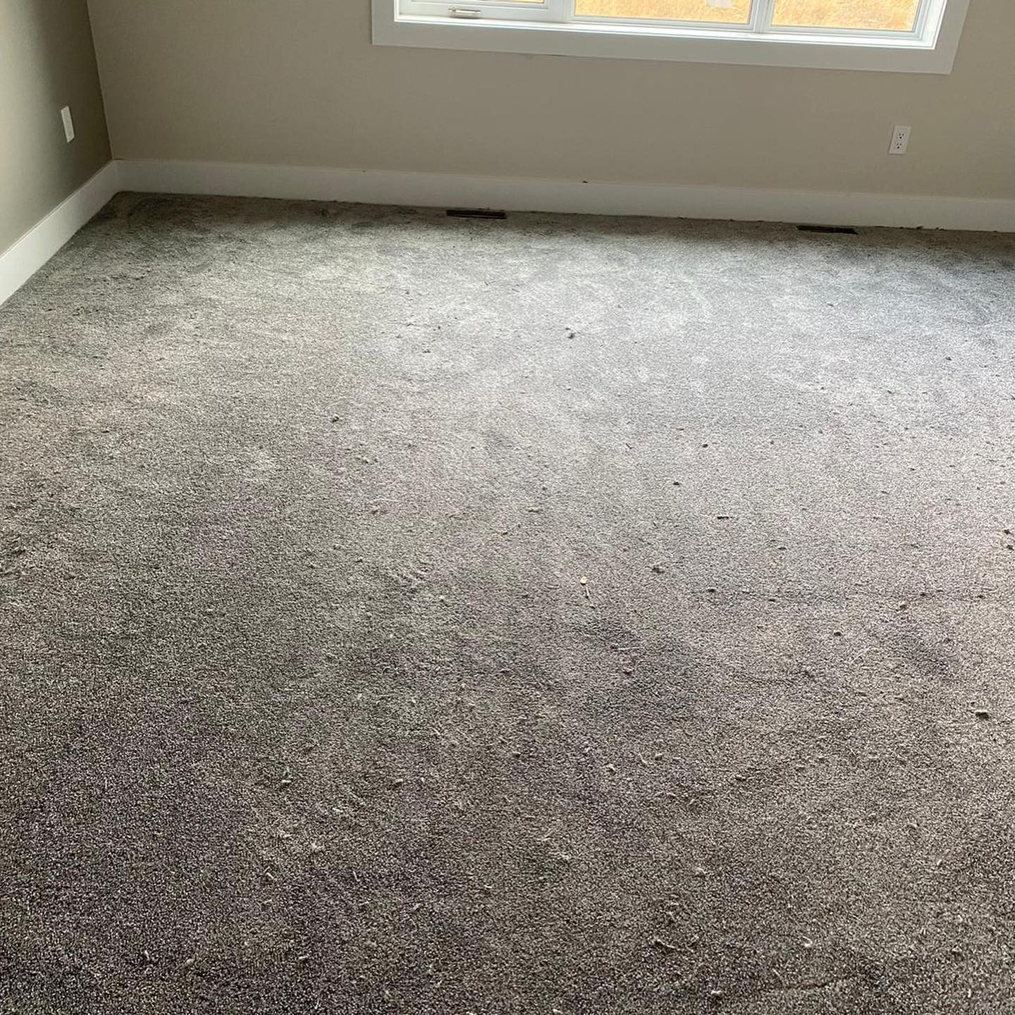 Carpet