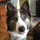 bobbie_jo_manning