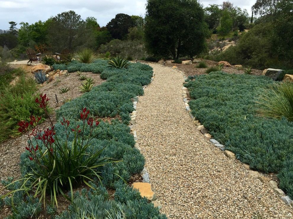 This is an example of an expansive contemporary backyard full sun xeriscape in San Diego with a garden path and gravel.