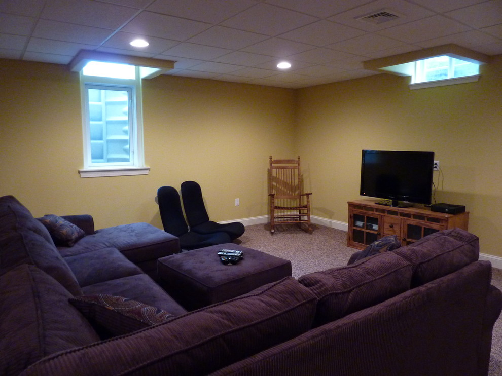 Basement - large transitional look-out carpeted basement idea with yellow walls