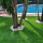 Fake Lawn Guy Synthetic Grass or Artificial Turf