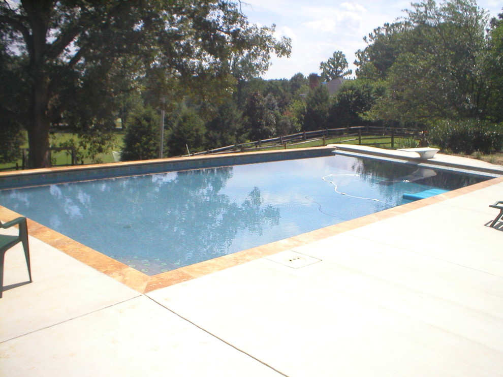 Example of a mid-sized transitional backyard pool design in DC Metro