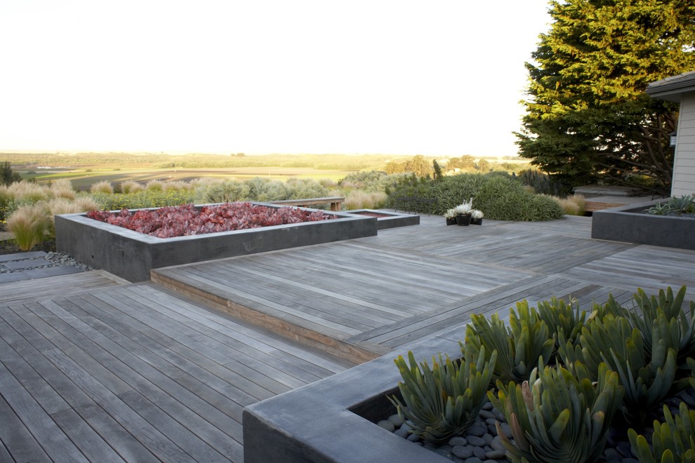 Photo of an expansive asian backyard deck in San Luis Obispo with no cover and a container garden.