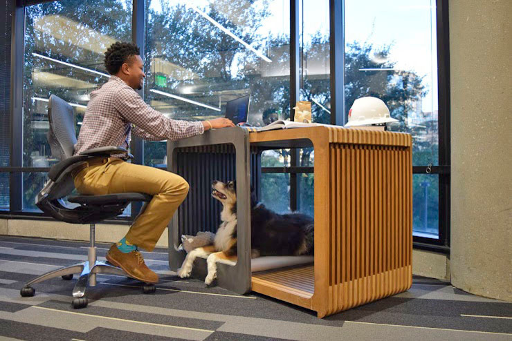 Trendy home office photo in Dallas