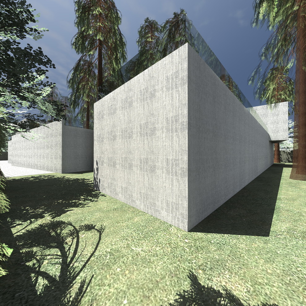 House extension and reconstruction in Skolkovo