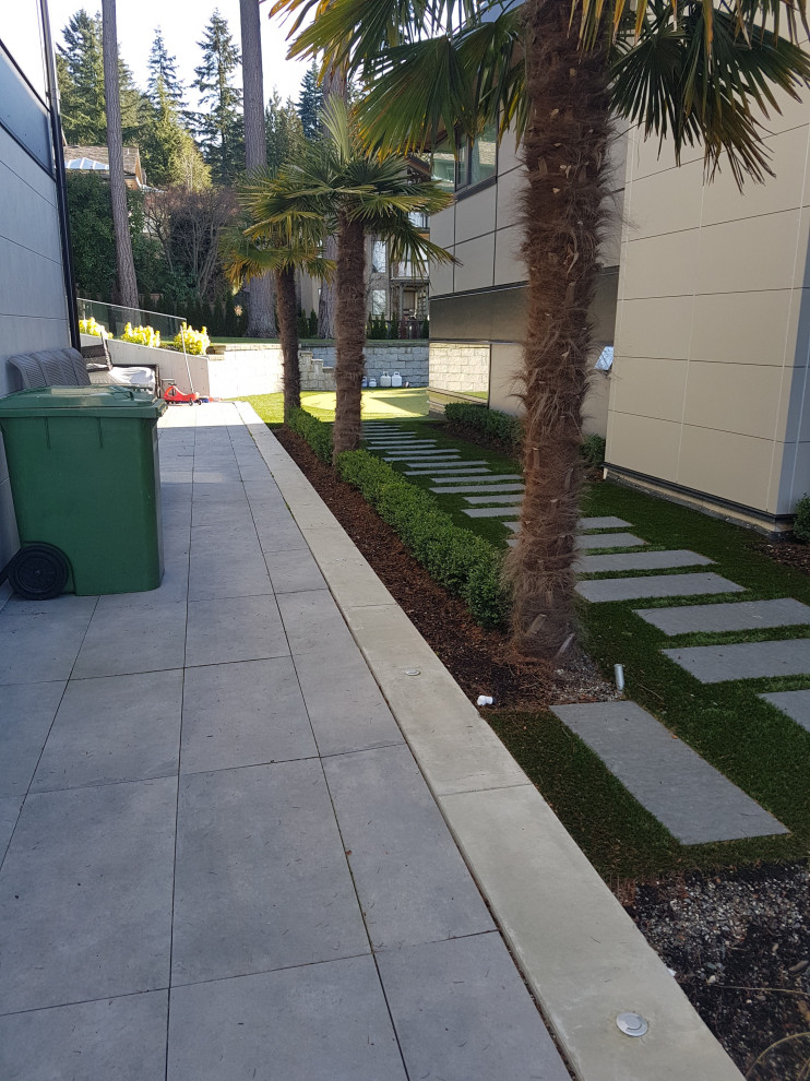 Cette image montre un petit jardin latéral minimaliste avec un chemin, une exposition partiellement ombragée et des pavés en béton.