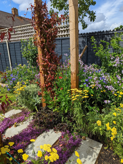 Family garden, low maintenance planting modern-garden