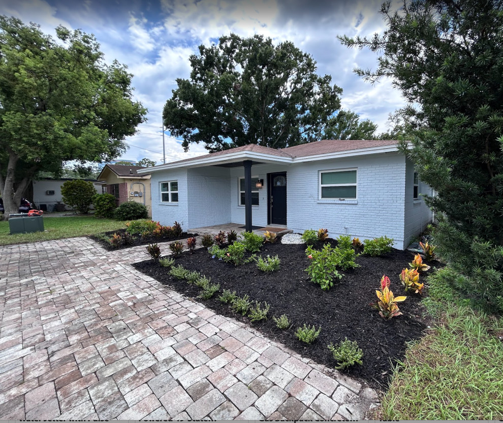 Black Mulch and New Plants