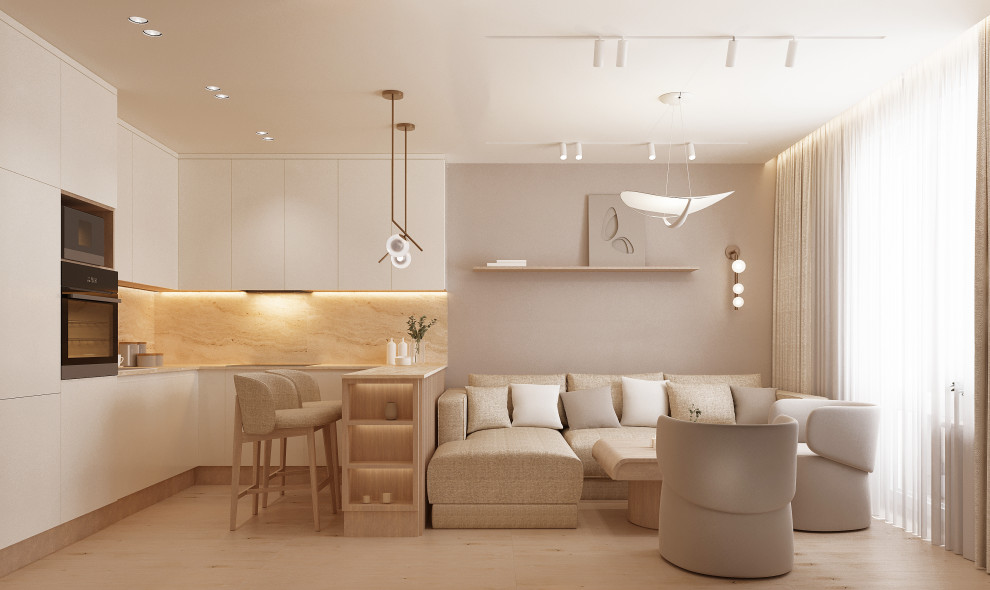 Проект квартиры 45,5м2