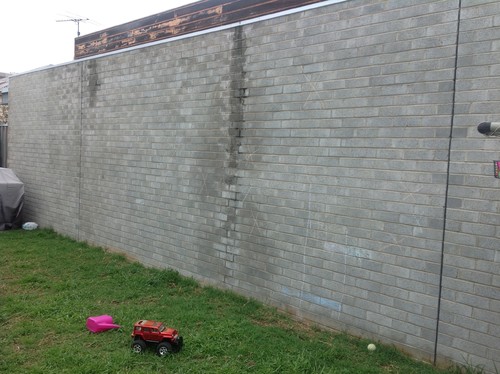 Diy Ideas for ugly backyard brick wall