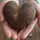 lourdes_zalcik22