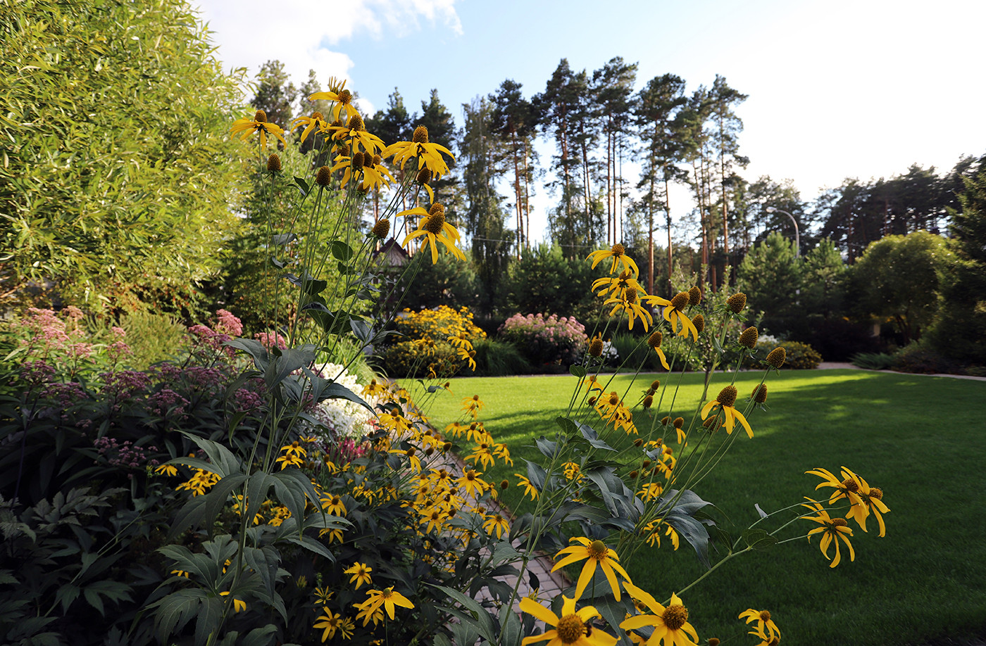 Коттеджный сад