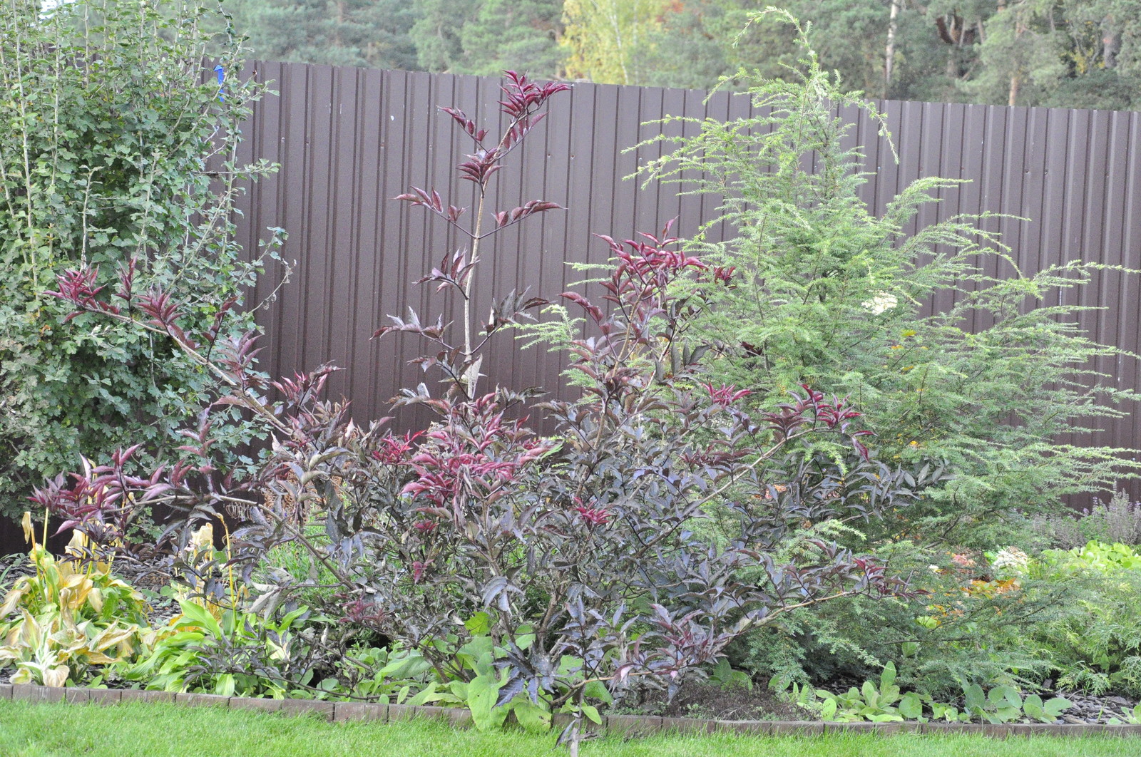 д. Коровино - Уход за садом - 100% качество