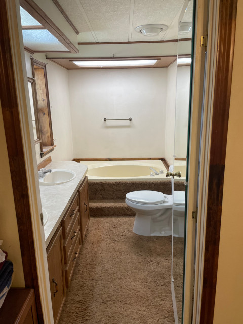 Basic Bathroom Update transitional
