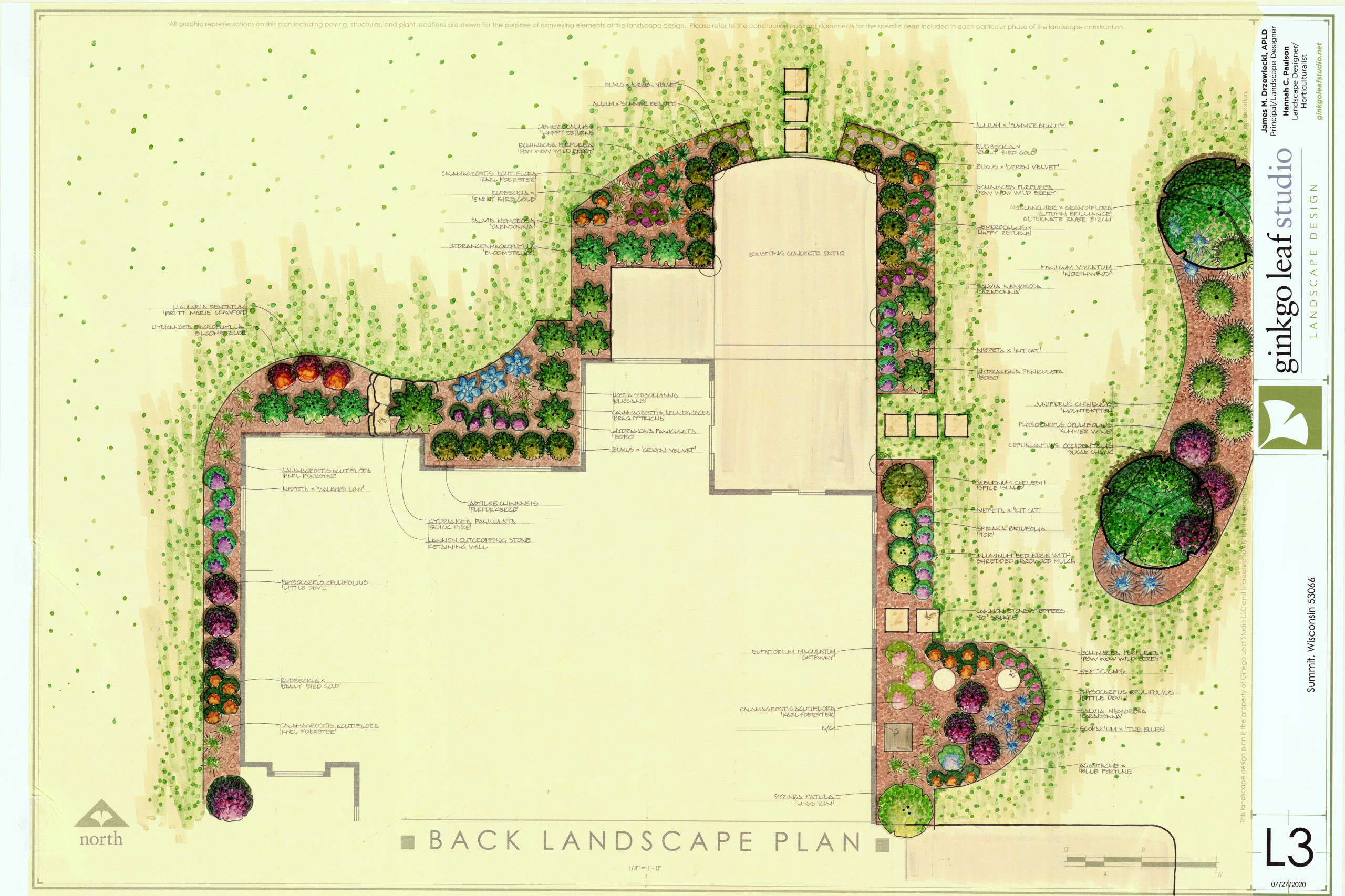 Transitional New Home Landscape - Summit