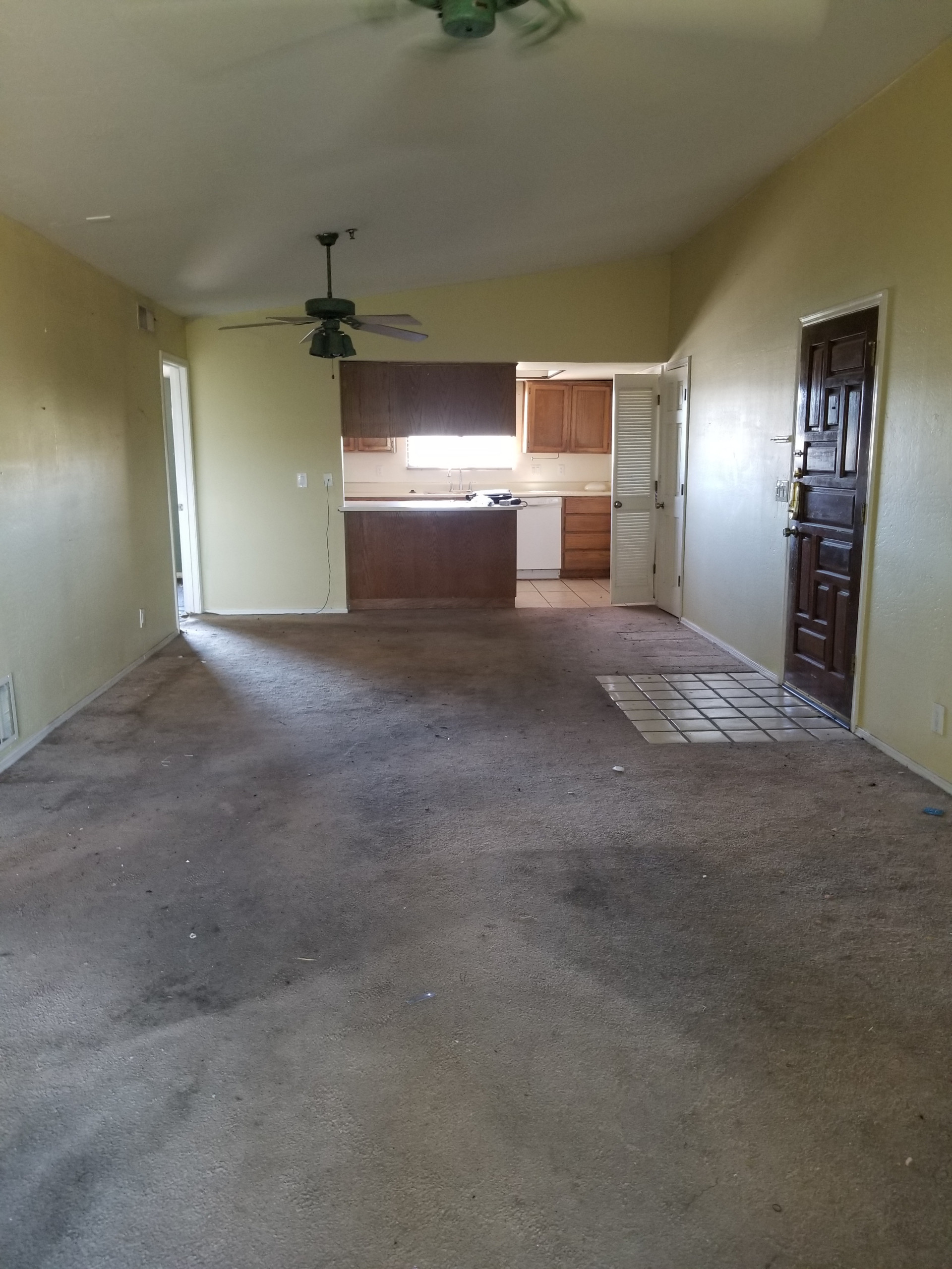 Whole House Remodel