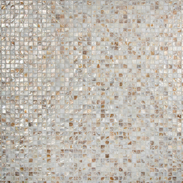 Conchella Square Natural Natural Shell Wall Tile - Beach Style - Mosaic ...