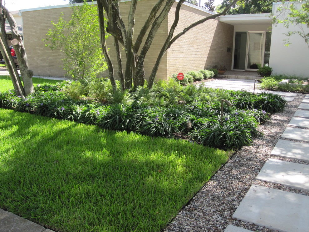 Photo of a midcentury garden in Houston.