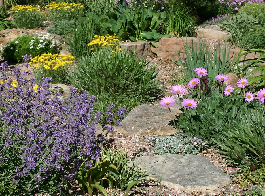 Landscaping & Xeriscaping