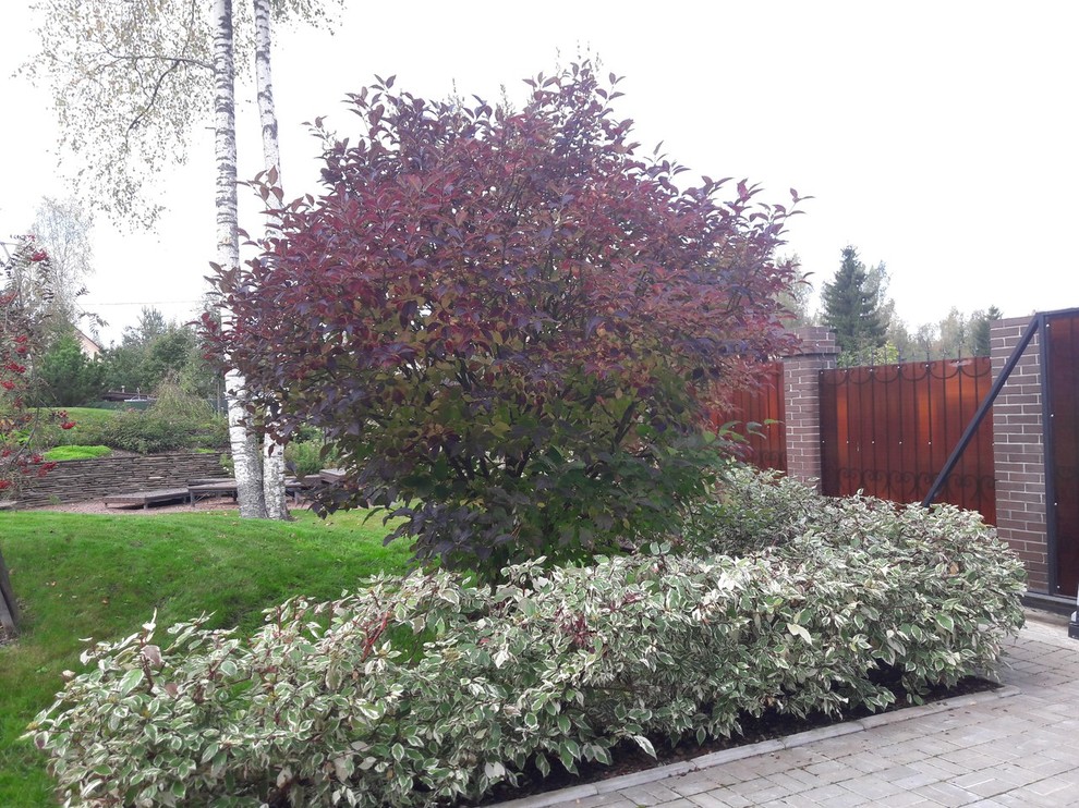 Сад  на холмах