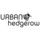 Urban Hedgerow