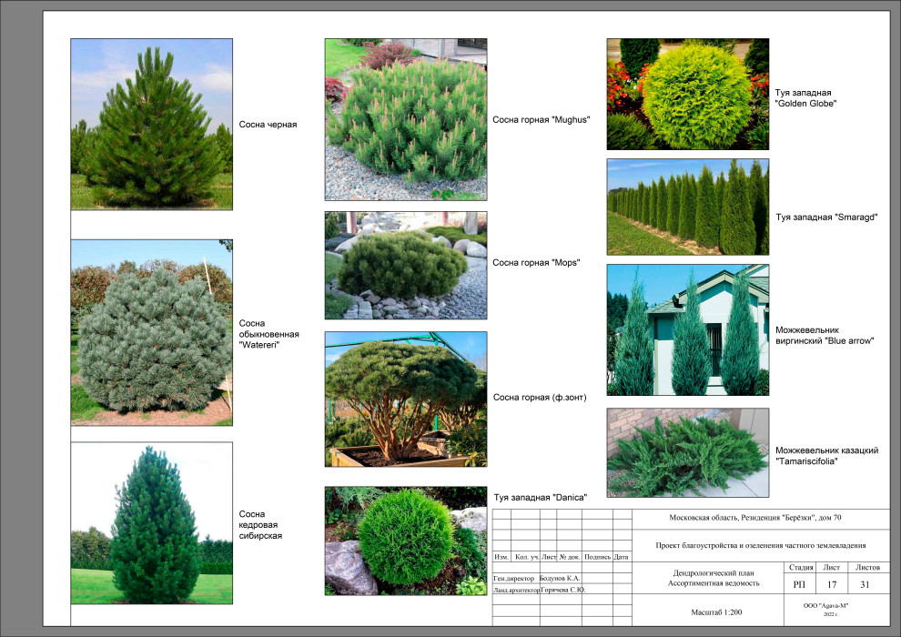 Резиденция Берёзки.