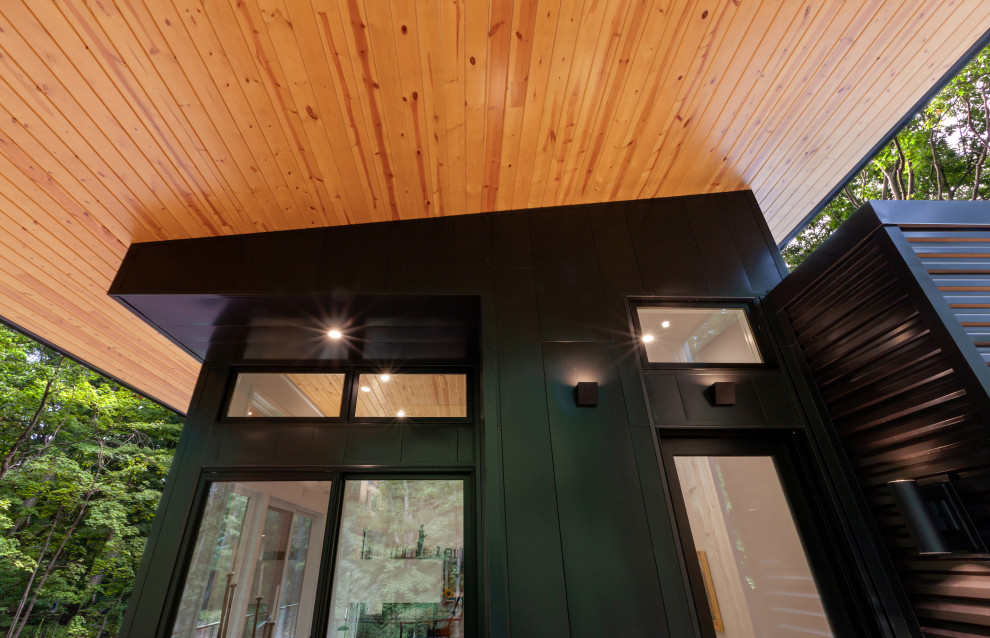 Idée de décoration pour une façade de maison métallique et noire minimaliste de taille moyenne et de plain-pied avec un toit plat.