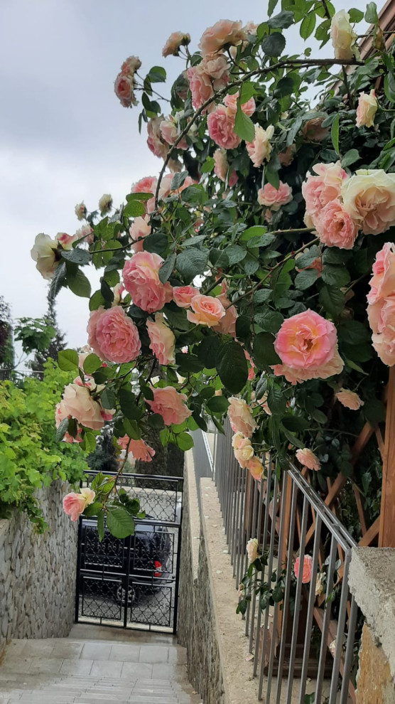 Ландшафтный дизайн