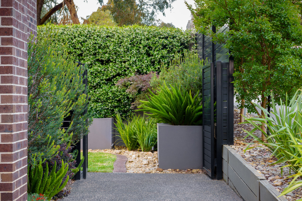 Photo of a mid-sized contemporary front yard partial sun xeriscape for summer in Melbourne with a garden path and a metal fence.