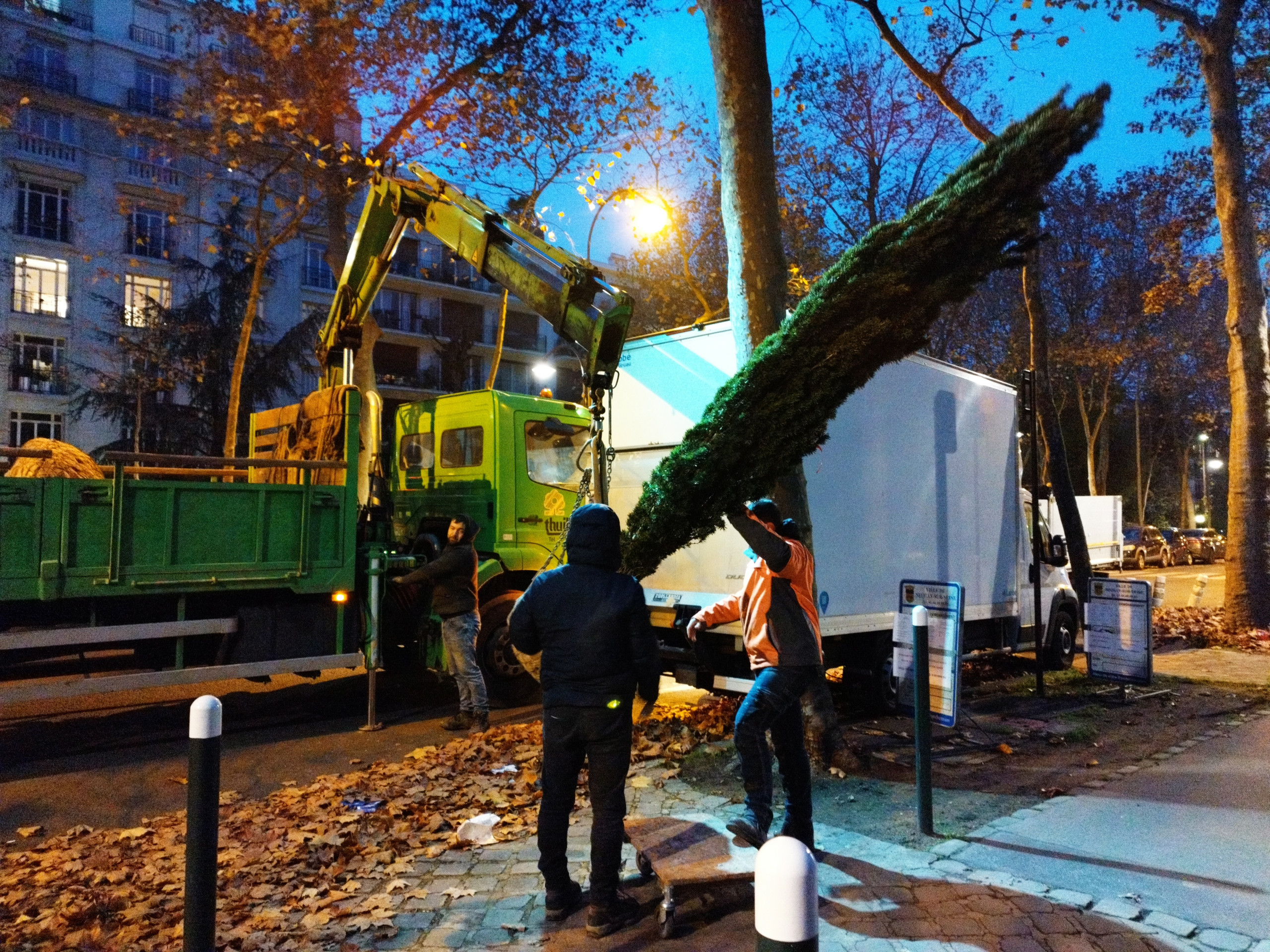 CHANTIER - Livraison de grands sujets