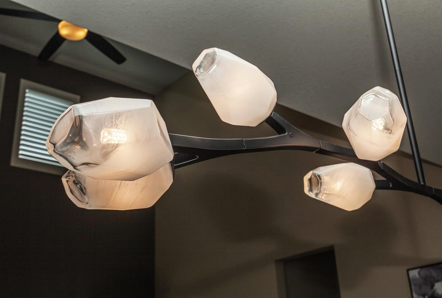 Family Hangout in Fort Collins