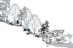 Sections / Elevations 